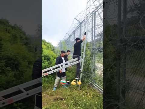 Bulgeria Border crossing 🚸 #illegal #serbia  #turkey #musafer #bulgaria