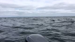 Lost at Sea - Bear Grylls survival