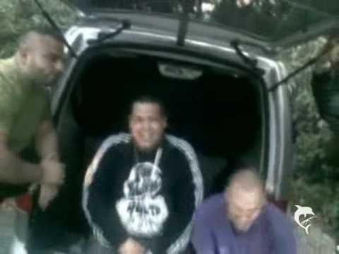 6XL - DORTMUND CITY ALTER