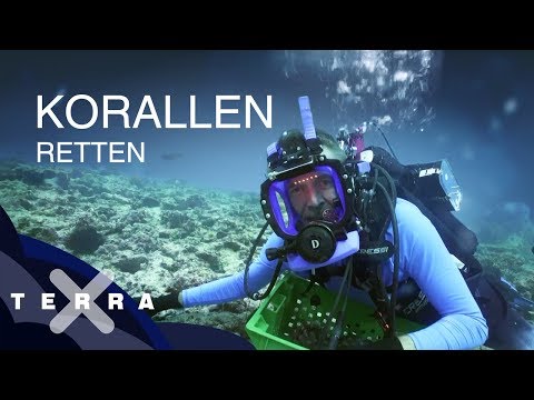 Vorschaubild Video