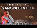 Insindiso Iyangisebenzela By Sphiwo Ndoni
