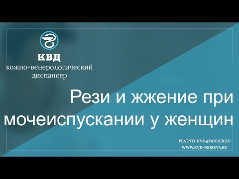 Беременность 5 недель болит поясница это нормально Дисплазия тазобедренных суставов у курцхаара