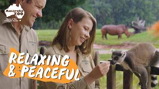 The Quiet Magic of a Rain-Soaked Zoo