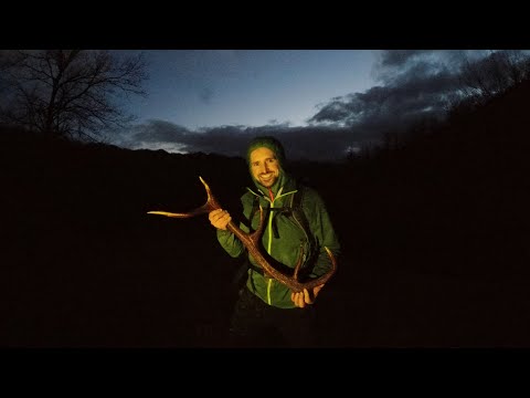 Looking for lost DEER ANTLER in the rain and fog!