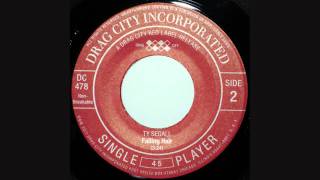 Ty Segall - Falling Hair