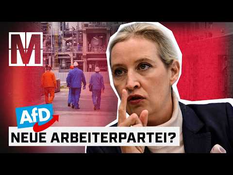Die Arbeiterklasse: Auf dem Weg nach rechtsaußen? - MONITOR