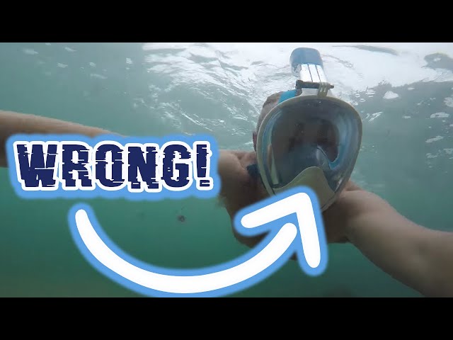 1 Thing Wrong With The Seaview 180 Full Face Snorkel Mask