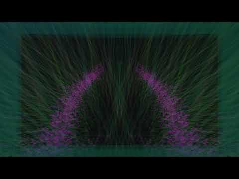 Zero-Gee (Midi) [Yamaha XG Demo]