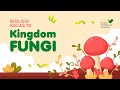 Memahami Kingdom Fungi: Ciri, Reproduksi, dan Divisi