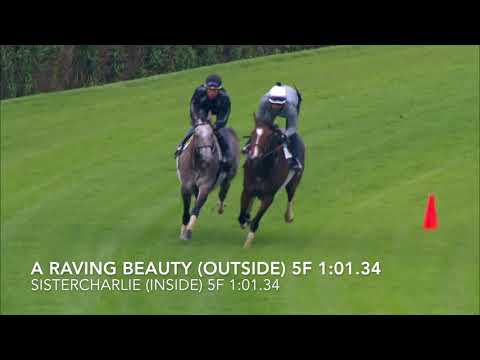 A Raving Beauty & Sistercharlie work - May 28, 2018