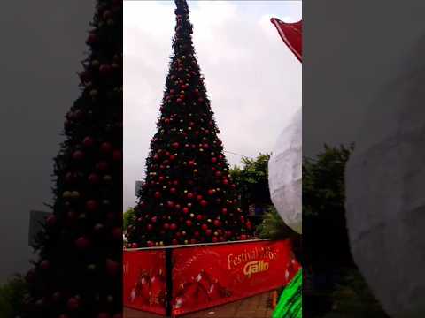 LUCES NAVIDEÑAS Malacatán San Marcos