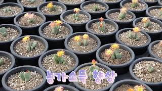 [스토리가 있는 경기팜 광고 02] 아직도 꽃을 받기만 하세요?