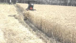 preview picture of video 'wheat cutting by  mini tractor  ripper. Anand Guj India'