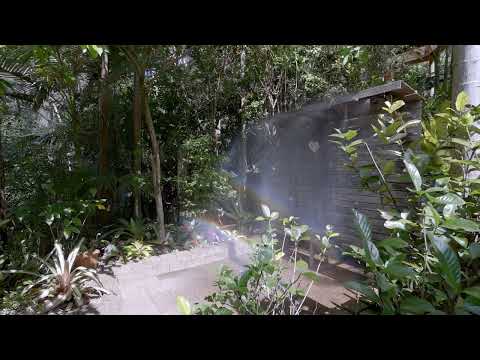 Video for 52 Cumner Road, Diamond Valley  QLD  4553