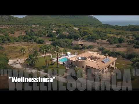 Finca Urlaub auf Mallorca