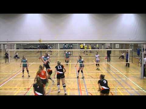 Compilatie Flamingo's '56 - Ecare Apollo 8