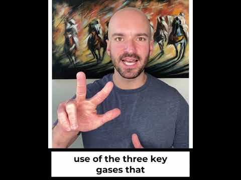 DMT vs. LSD (Breathing)