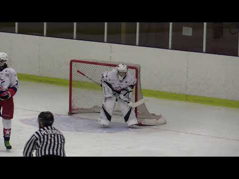 Flemingsberg - GötaTraneberg U16 20190121 Period 1