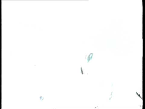 NAPRED U PROSLOST na dnu mora