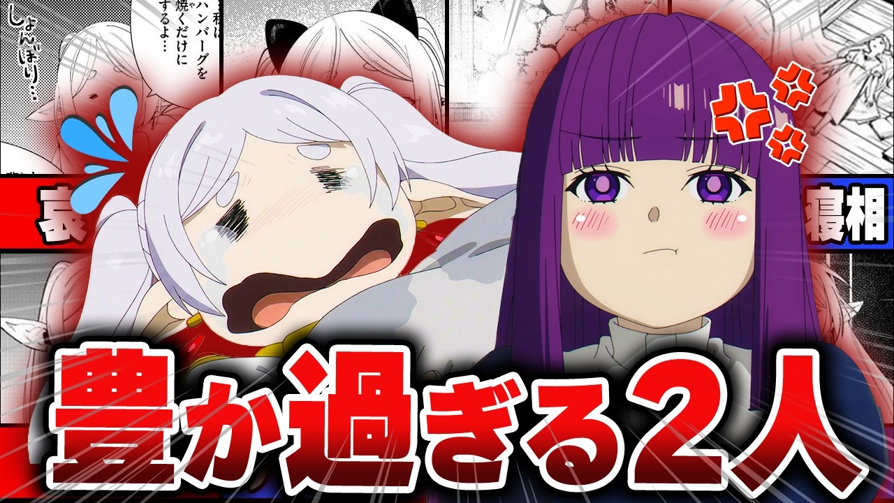 【葬送のフリーレン】感情のクセが強すぎるフリーレンとフェルンの表情について解説！【総集編】#葬送のフリーレン