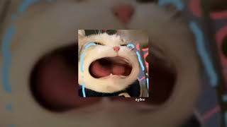 Download lagu hivi! - pelangi ; speed up mp3 Download lagu hivi! - pelangi ; speed up mp3