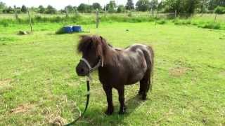 I can´t control my Heart♥