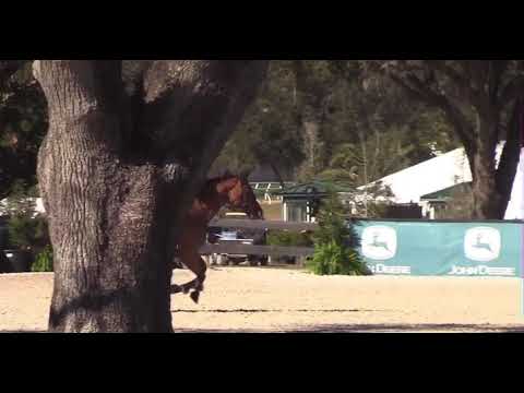 Tinka’s Soldier video 3