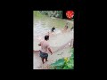 Fish Video Download Free Fish Stock Video Footage Download 4k Hd