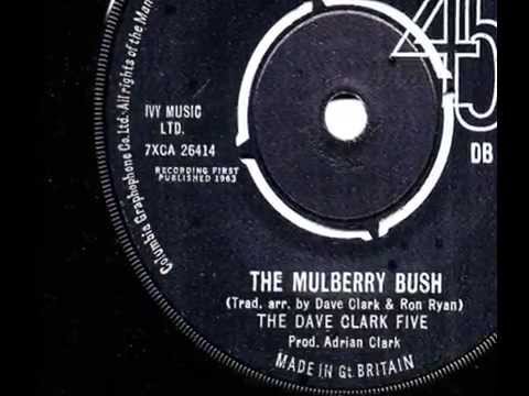 Dave Clark Five - The Mulberry Bush - 1963 45rpm