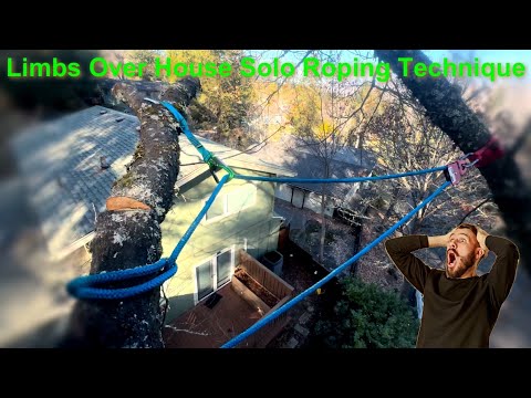 Solo Span Rigging Technique | Solo Tree Work