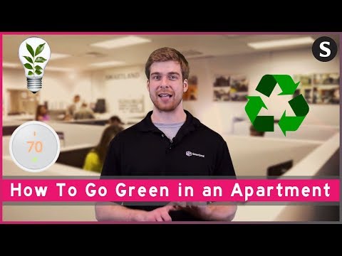 It’s Not Easy Being Green. It’s Also Not That Hard!