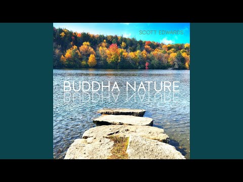 Buddha Nature