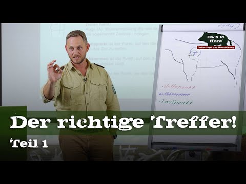 Der richtige Treffer! | Teil 1