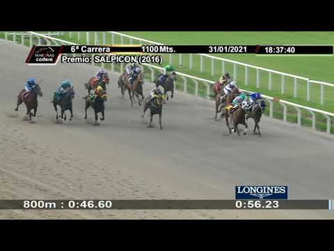 210131 c06 SUBVERSIVA BABE