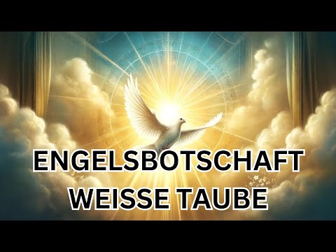 Engelsbotschaft - Du siehst eine weisse Taube 💎 Spirituelle Bedeutung