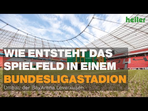 Neues Spielfeld für Bayer 04 Leverkusen - Hybridrasen im Bundesligastadion
