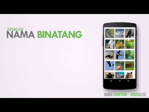 Nama Binatang Video