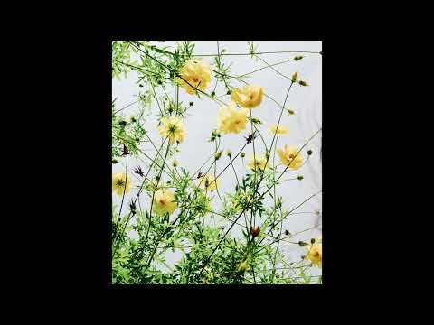 [FREE] guardin, fats'e, 93feetofsmoke type beat | "play"