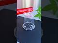 Static electricity experiment