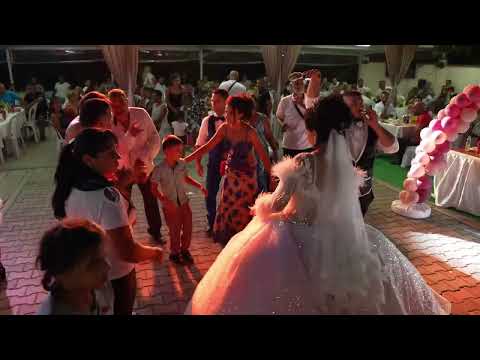 Sasha Sandra Live - Shveycareca | Studio Asenovi |