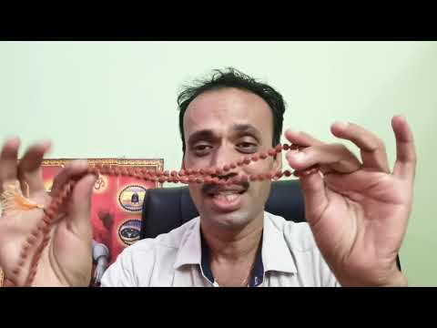 Nepal Rudraksha Mala 108 Beads size ? | Rudraksha Mala 108 beads java size ?| Rudraksha Mala NEPAL