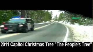 preview picture of video '2011 Capitol Christmas Tree on Highway 108 in Cold Springs, CA'