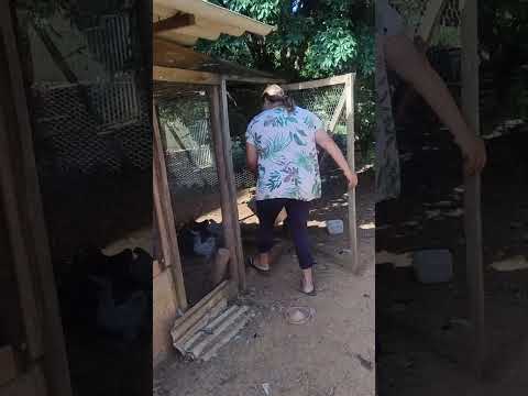 @fabianacampos Pilar do Sul -SP