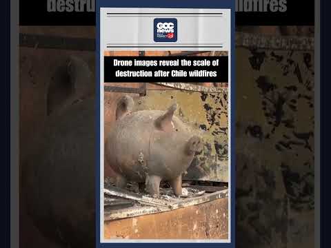 Chile Wildfires Drone Footage Penco Lirquén Destruction 19 Dead 50K Evacuated