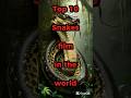 Top 10 Snakes Film In The World Snakes Anaconda Python Film Anacondafilm