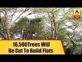 16 500 Trees Will Be Cut To Build Flats For Govt Employees ABP News