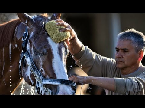 What to expect at the 2018 Kentucky Derby