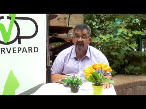 PROMO FESTA MAJOR PARDINYES 2017 - PARDINYES TV