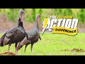 Action Hyundai Let S Talk Turkey