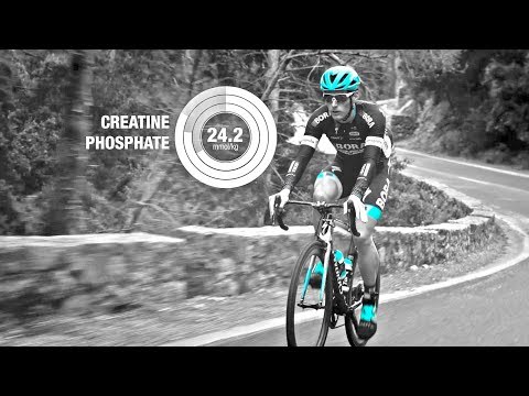 download lagu mp3 mp4 Inscyd, download mp3 Inscyd free download, download mp3 Inscyd